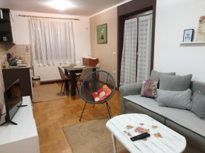 apartman Gledovic 1